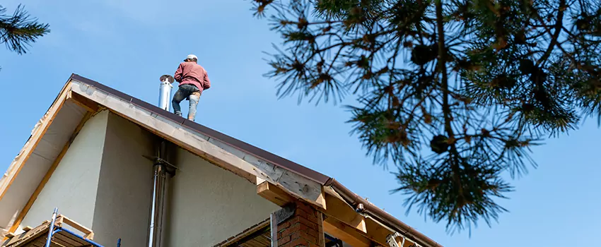 Birds Removal Contractors from Chimney in Live Oak, CA